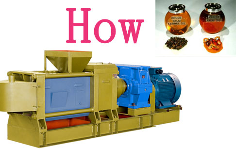 how to extract palm kernel oil 