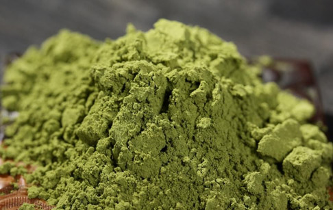 Moringa dehydration processing plant