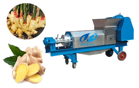 Ginger dewatering machine press