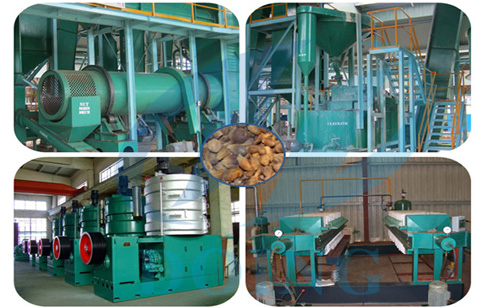 Palm kernel oil extraction machine