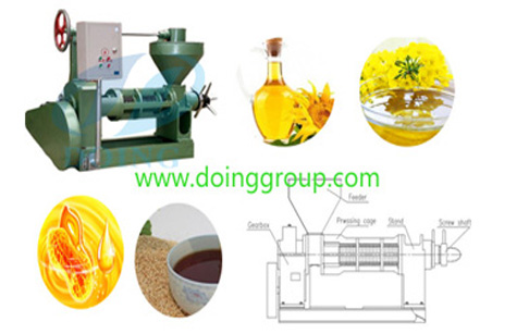 sesame oil press machine