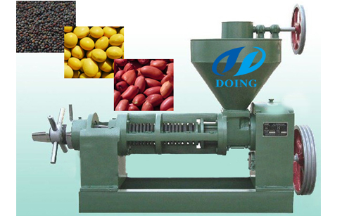 screw oil press machine