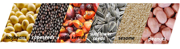 oil seeds for small cooking oil production line