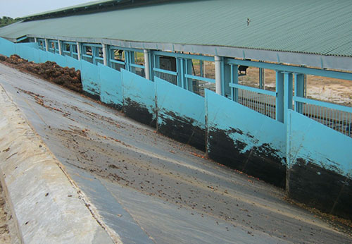 palm oil mill process of bunch reception