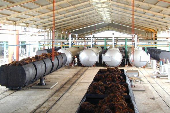 palm oil mill process of sterilization