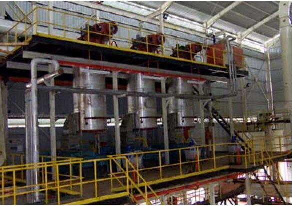 palm oil pressing