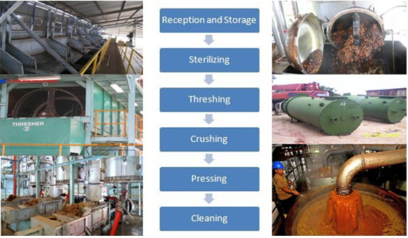 palm oil mill process