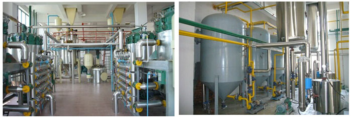 palm oil mill refining plant