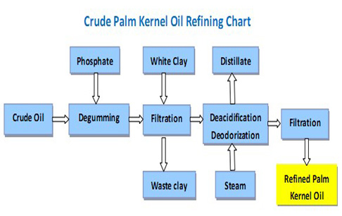 palm oil refining processing