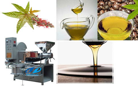 castor oil extraction machine