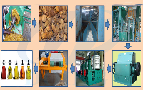 Palm oil processing plant