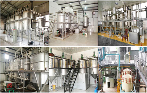palm oil refinery machine