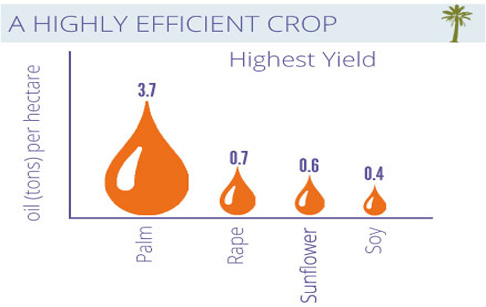 palm oil