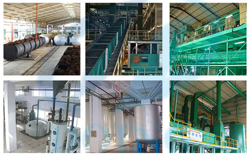 Palm oil production industry in Indonesia