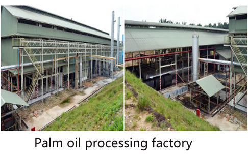 How much will cost to build palm oil processing and refinery plant?