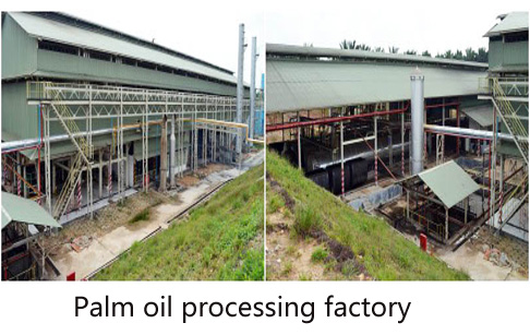 palm oil processing machine