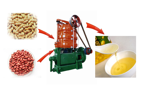 groundnut oil press machine