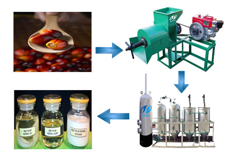 1TPH Palm oil press plant