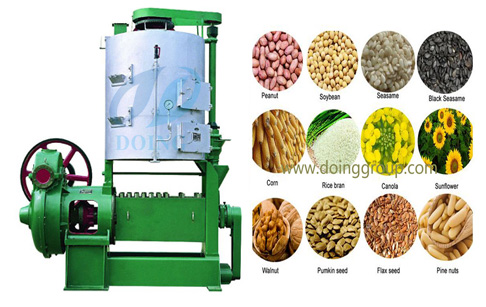 Cooking oil pressing machine