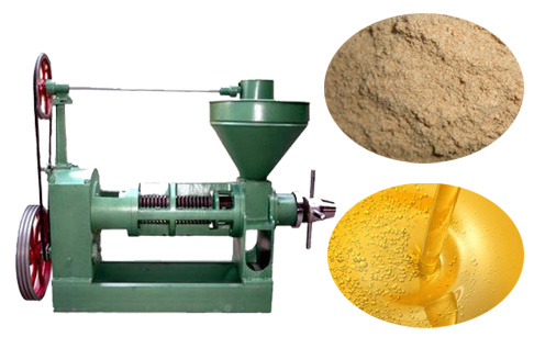 Rice bran oil press machine