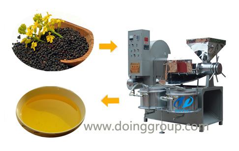 rapeseed oil press machine