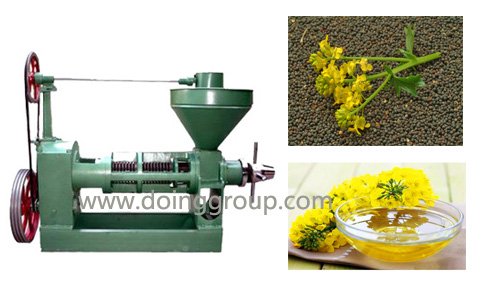 small rapeseed oil press machine