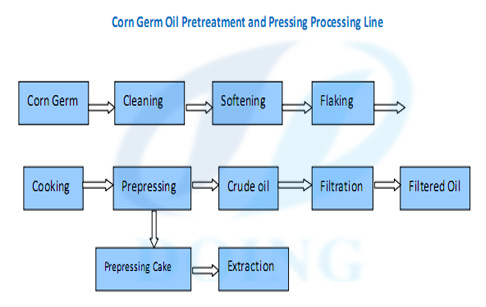 corn germ oil extraction process