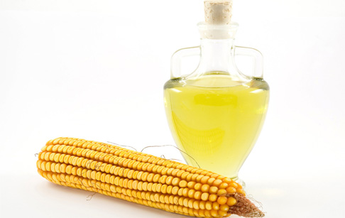 corn germ oil