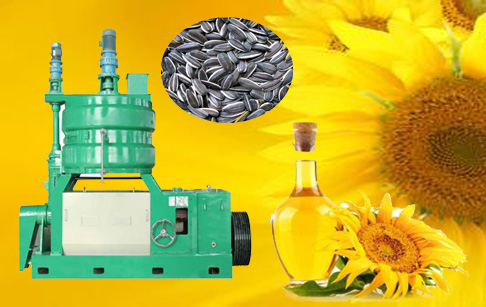 What is the cost of sunflower oil extraction machine?