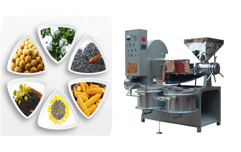 cooking oil extraction machine for home use 