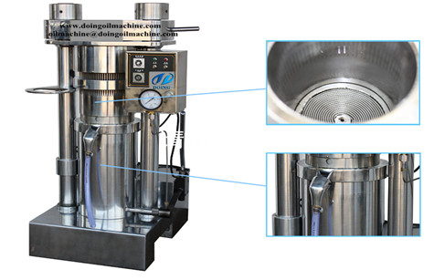 Hydraulic sesame oil press machine working video