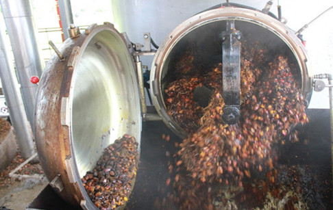 Palm fruit sterilizer machine for palm oil mill plant