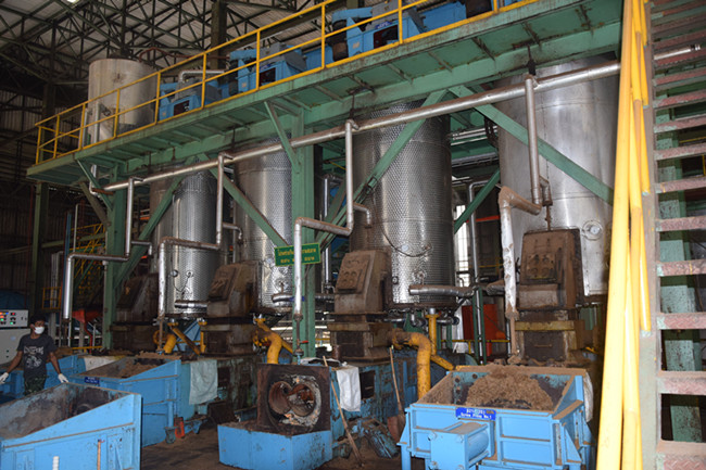 palm oil digester machine