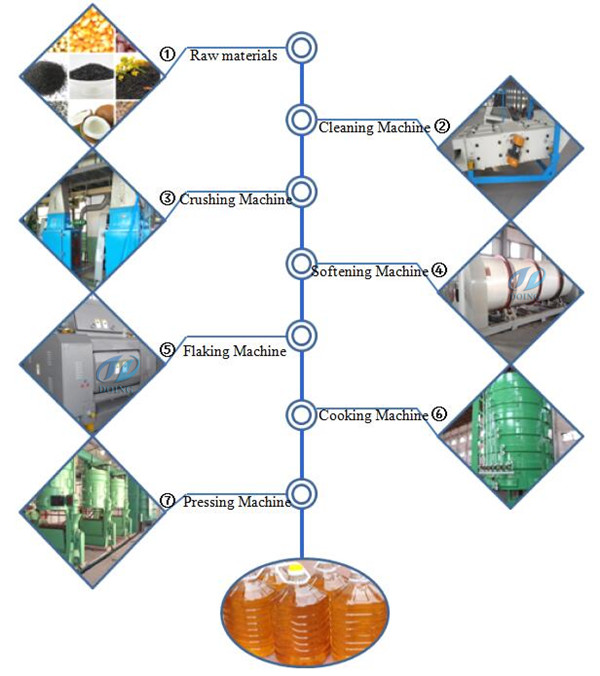 palm kernel oil extraction machine