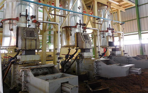 palm oil mill plant