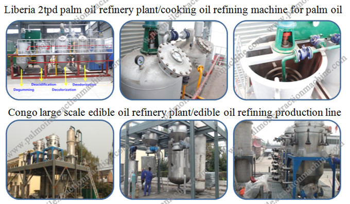 cooking oil refining project