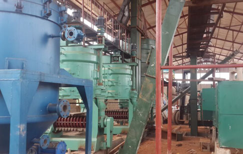 60TPD palm kernel oil production machine was set up in Nigeria