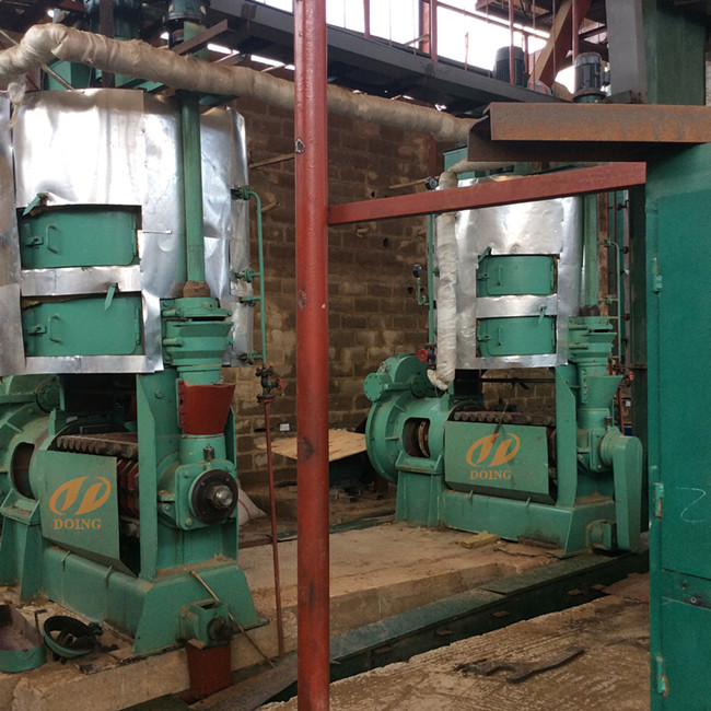 palm kernel oil production machine 