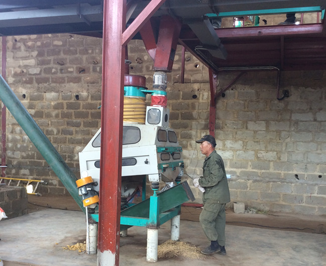 palm kernel oil production machine 