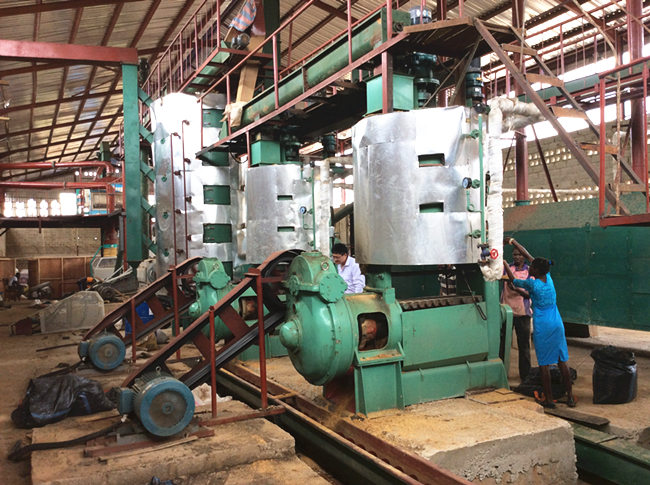 palm kernel oil production machine