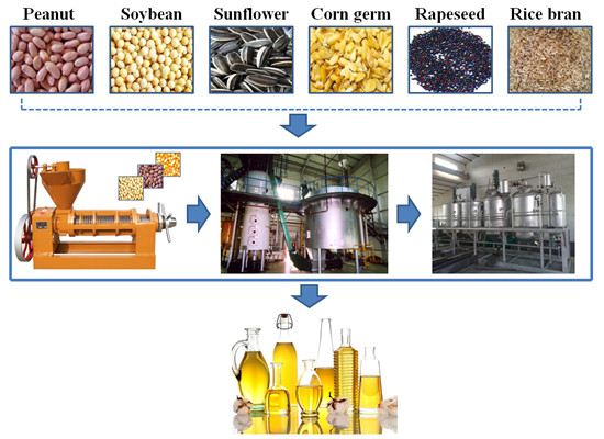 sunflower oil production line