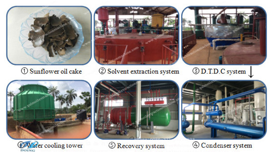 sunflower oil solvent extraction line