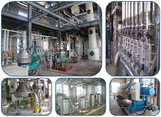 sunflower oil refining line