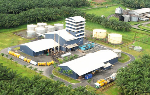 How to start a palm oil production business in Nigeria?