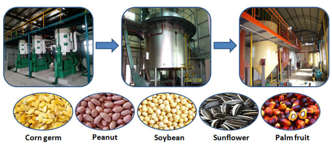 edible oil production machine 