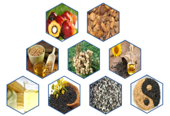 oilseeds
