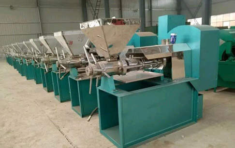 Cold oil pressing machine