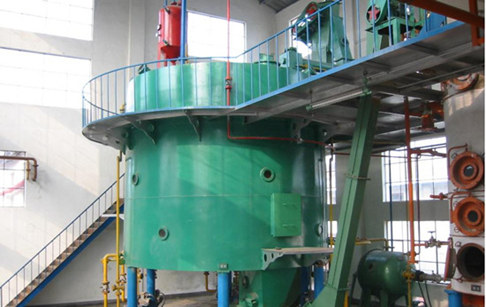 Vegetable oil extractor machine