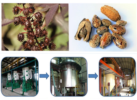 castor oil mill machinery 