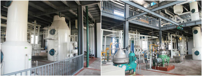 castor oil refining machine 